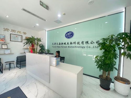 靶向施策精准发力 滨海新区加快闲置资产盘活