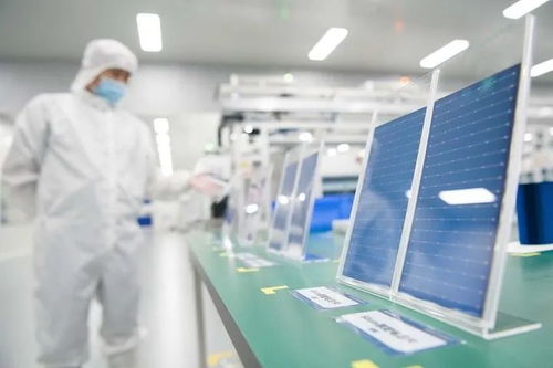 新华社专题报道 年轻独角兽 华晟新能源