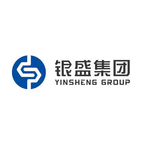 银盛科技服务集团