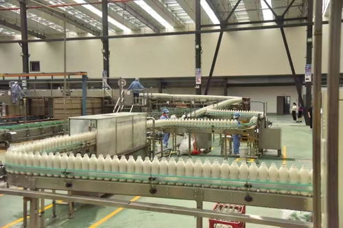 首届中国 綦江 食品工业高质量发展大会将于12月4日举行